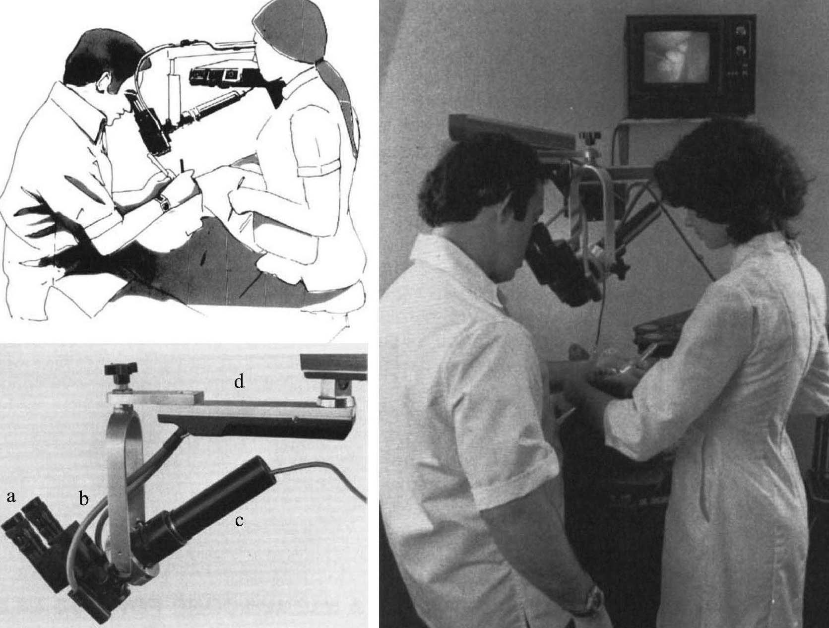 第一节 牙科显微镜发展简史